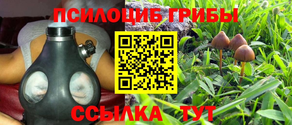 Галлюциногенные грибы Cubensis Чебаркуль